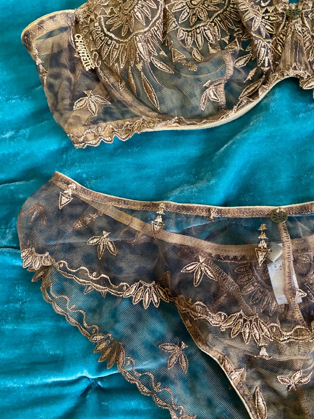 Chantelle Sheer Embroidered Bra & Brief Set in Gold - Picture 3 of 15